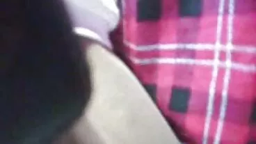 এস কে স্নলার স্নো এসএন বাংলা চোদাচিদু