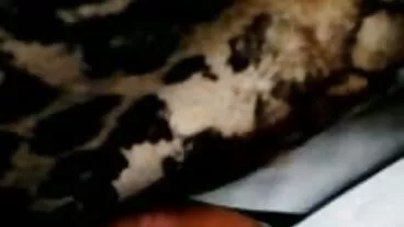 বড়ো মাই, শ্যামাঙ্গিণী, বাংলা চোদা চুদি বিডিও ব্লজব