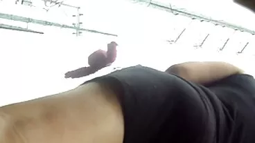 3 যৌনসঙ্গম বাংলা চোদাচুদির বিডিও